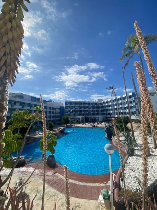 Apartamento Golf Del Sur 산타크루스데 테네리페 외부 사진